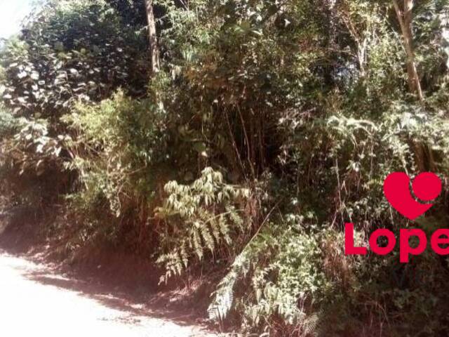 Terreno para Venda em Suzano - 2