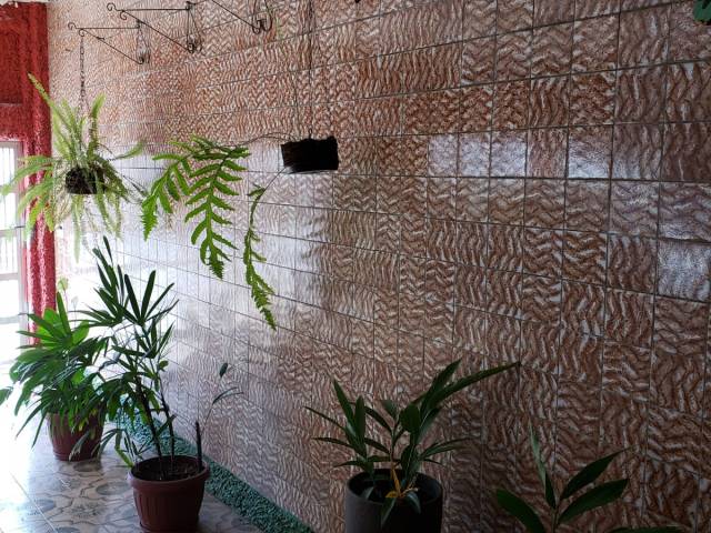 #55318328 - Casa para Venda em São Paulo - SP