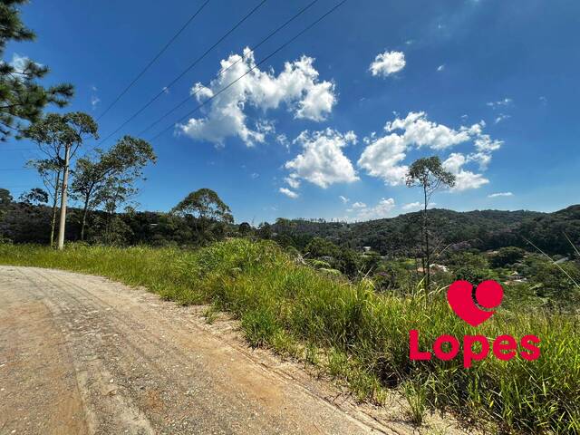 #55318344 - Área para Venda em Suzano - SP