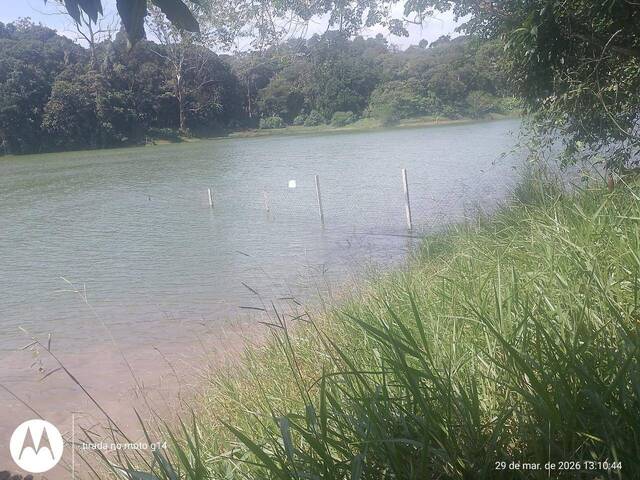 #55318350 - Área para Venda em São Bernardo do Campo - SP