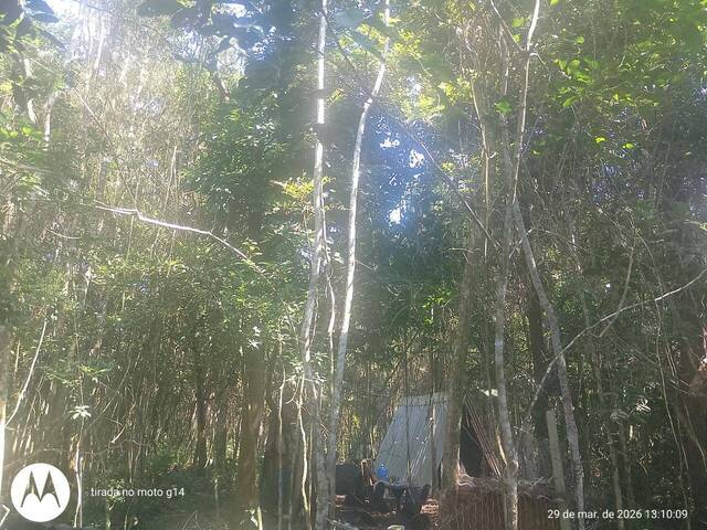 #55318350 - Área para Venda em São Bernardo do Campo - SP