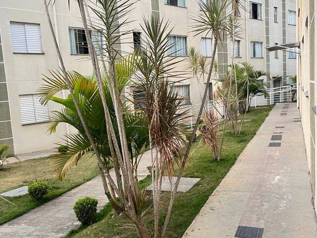 #55318486 - Apartamento para Locação em Suzano - SP