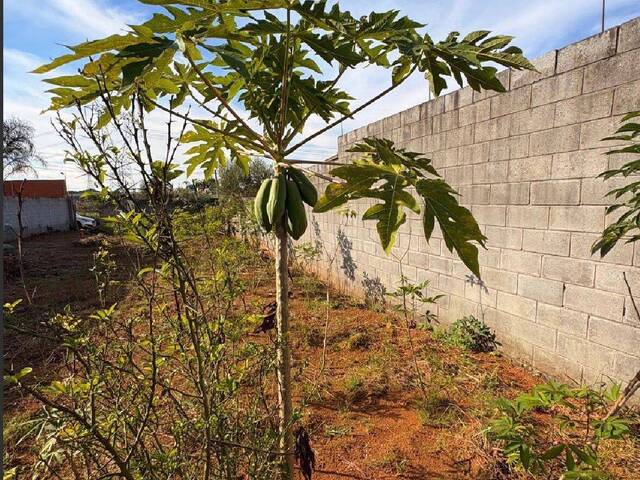 #55318490 - Terreno para Venda em Mogi das Cruzes - SP