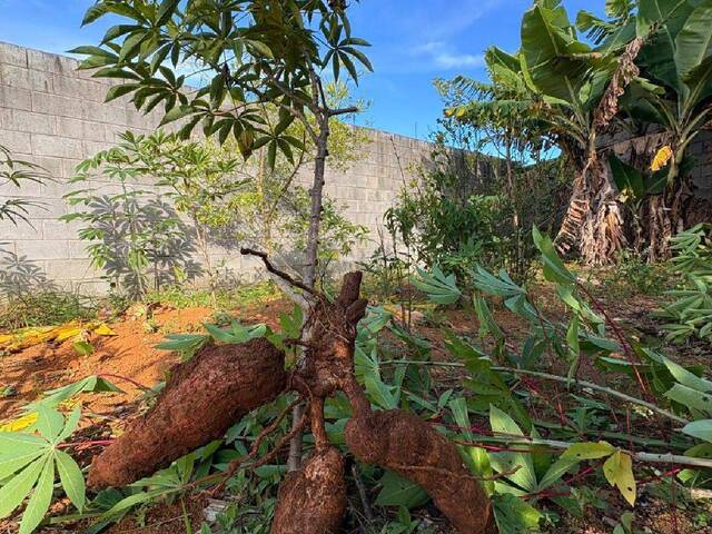 Terreno para Venda em Mogi das Cruzes - 5