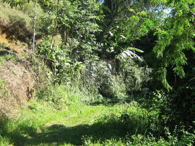 #REO861083 - Fazenda para Venda em Suzano - SP
