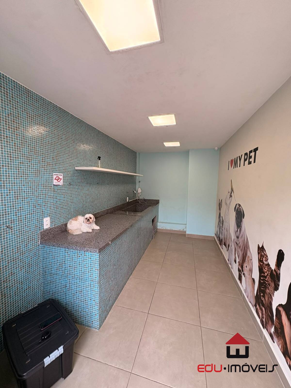 Apartamento, 2 quartos - Foto 35